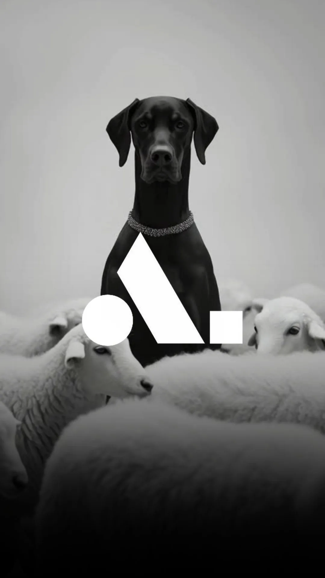 Alaris dog post